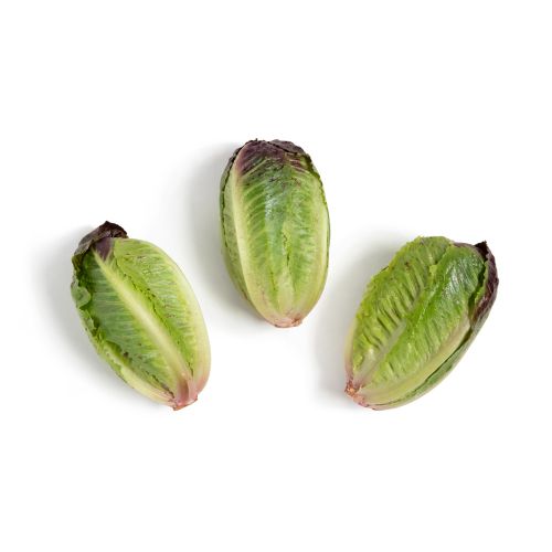 Ruby Ro-minis Romaine Lettuce