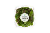 Organic Baby Red Spinach