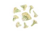 Organic Japanese Fioretto Cauliflower