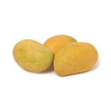 East Indian Kesar Mangoes