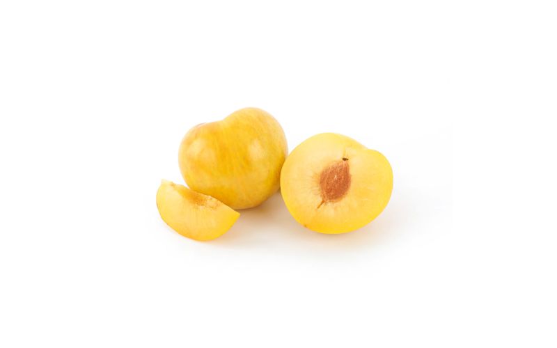 Golden Treat Plumcots