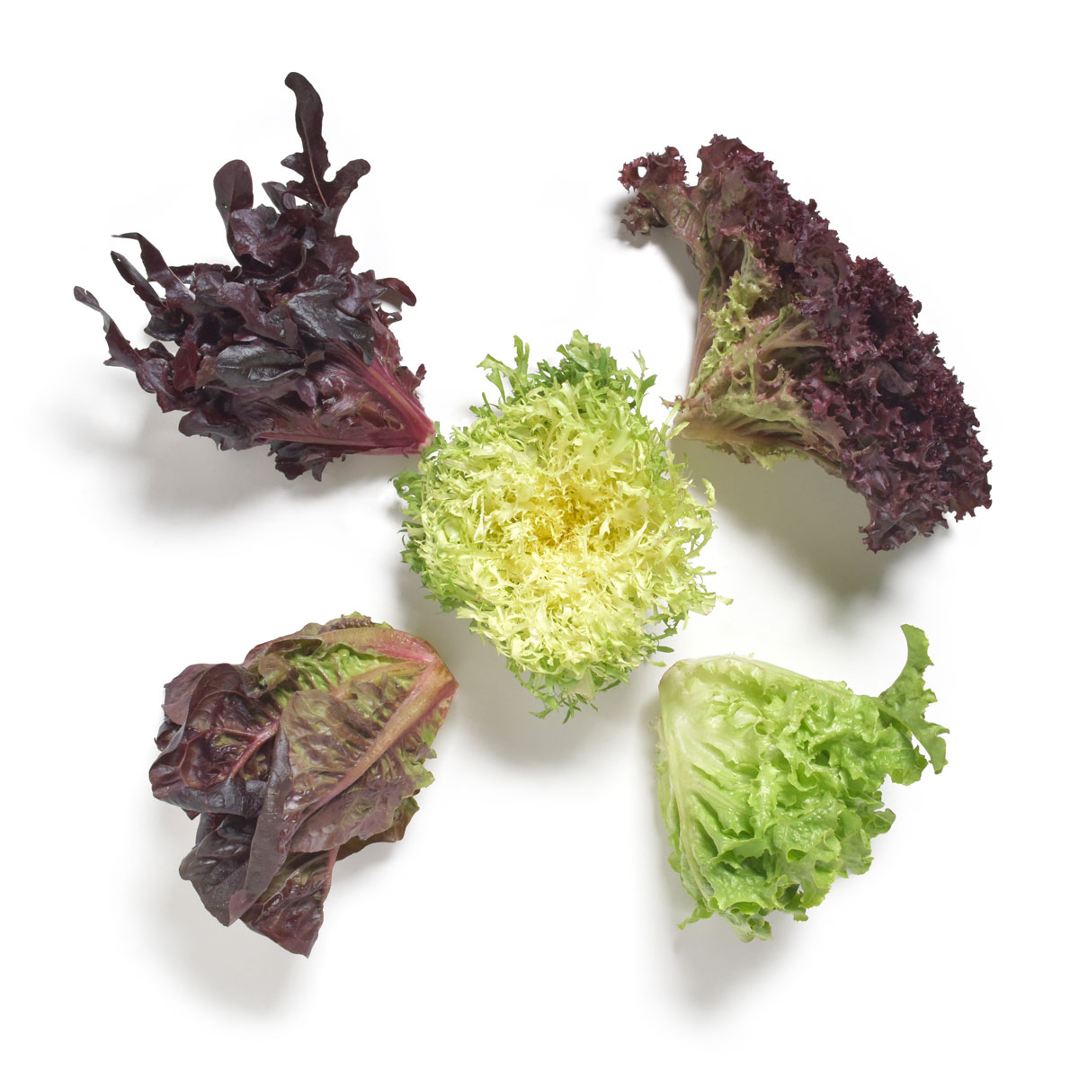 Baby Lettuce Bouquet Baby Lettuce Baldor Specialty Foods