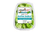 Organic Baby Butter Lettuce