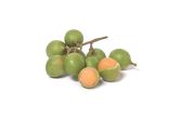 Quenepas Mamoncillos