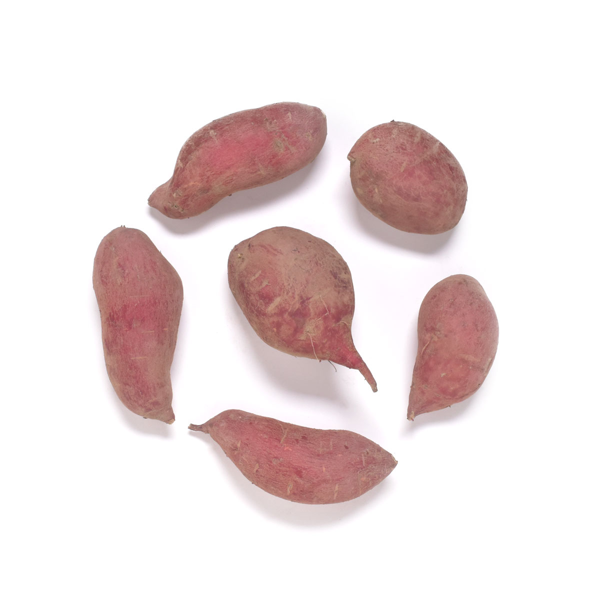 Organic Baby Japanese Yams Sweet Potatoes Baldor Specialty Foods