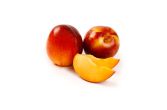 Fall Fiesta Plumcots