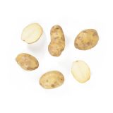 Organic Kennebec Potatoes