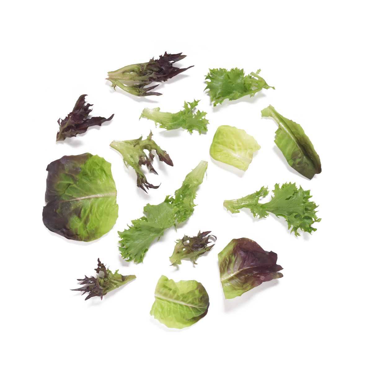 Ruby Arcadian Harvest Salad Mix Mesclun Baldor Specialty Foods