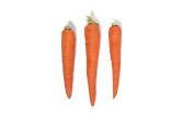 Jumbo California Carrots