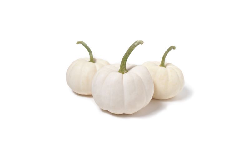 White Casper Pumpkins | Pumpkins | Baldor Specialty Foods