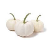 White Casper Pumpkins