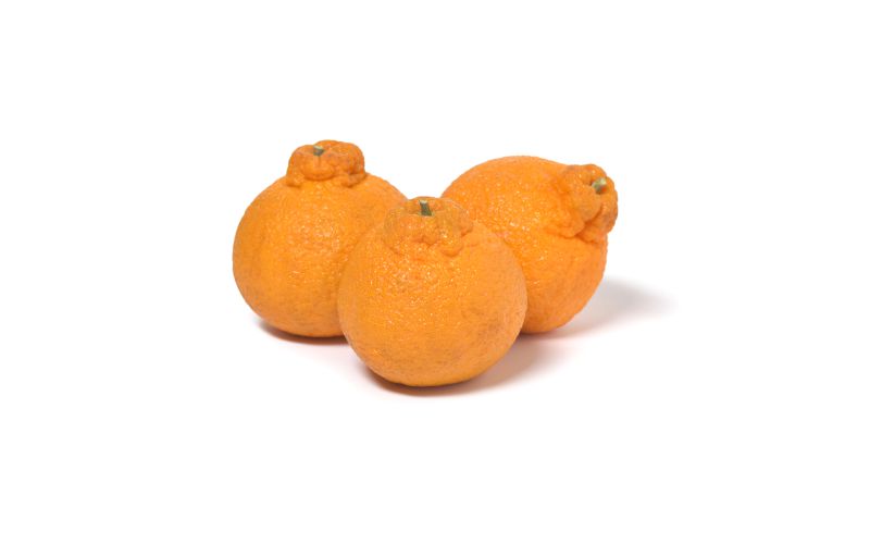 Mega Mandy Dekopon Mandarins