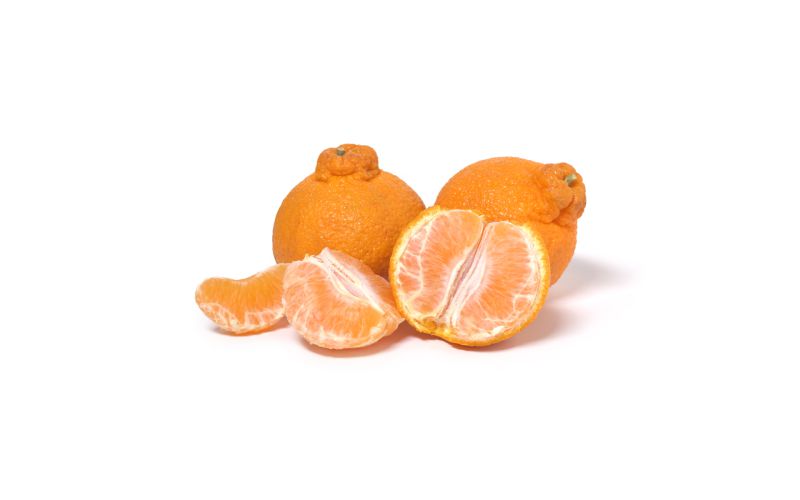 Mega Mandy Dekopon Mandarins