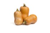 Organic Honeynut Squash
