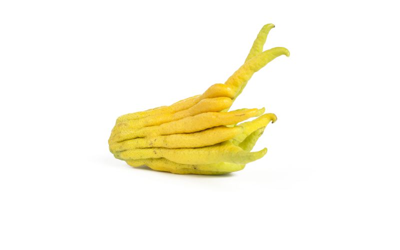 Buddha's Hands