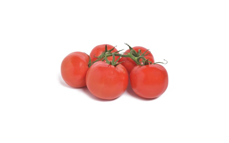 Medium Tomatoes on the Vine