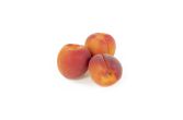 Red Sunset Apricots