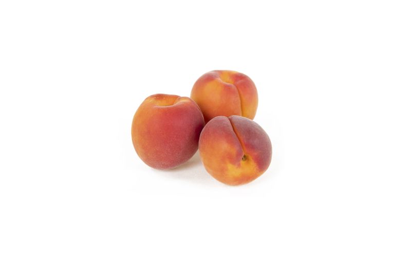 Red Sunset Apricots
