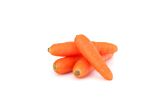 Organic Orange Navedo Carrots