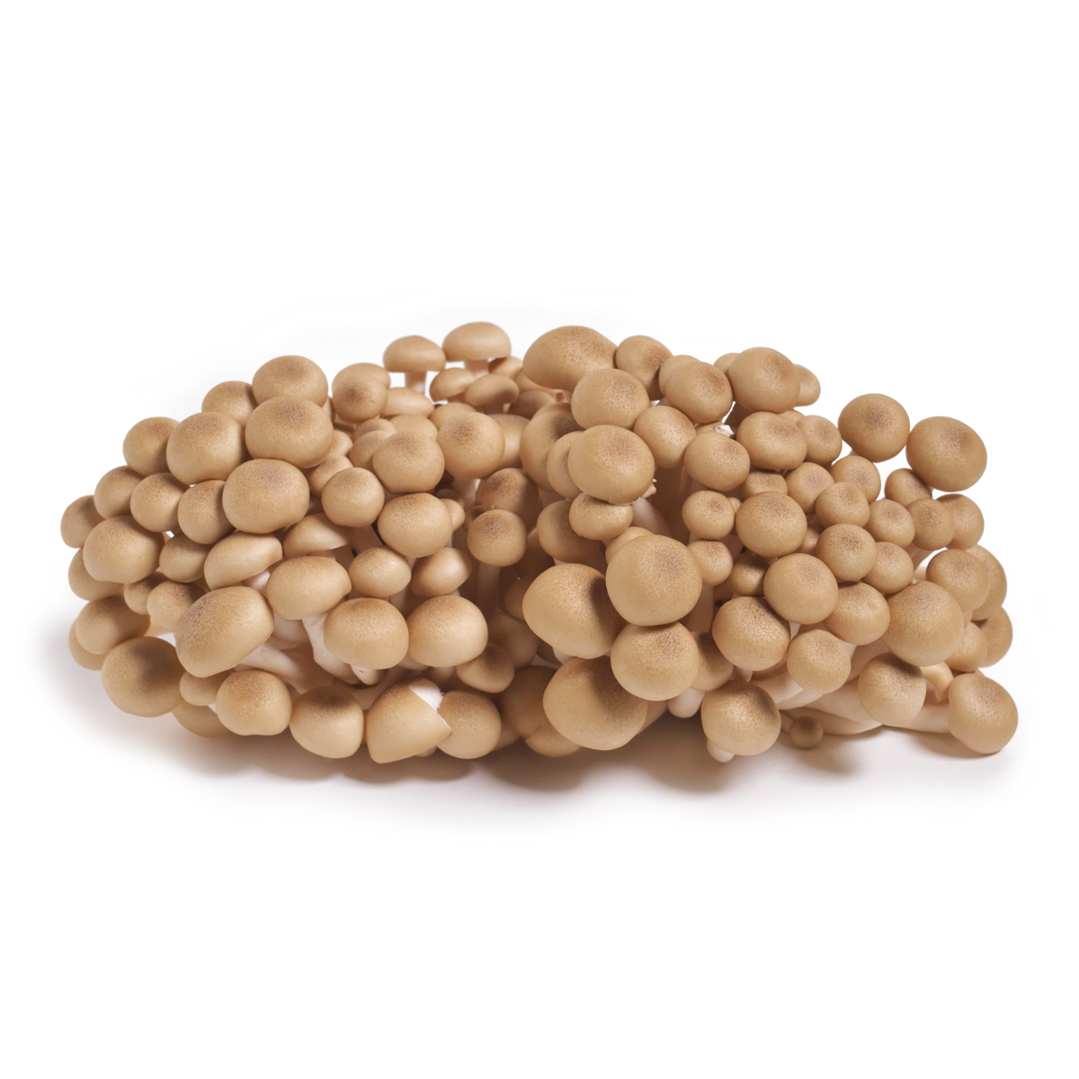 Organic Brown Beech Mushrooms | Beech Mushrooms | Baldor Specialty Foods