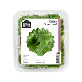 Crispy Green Leaf Lettuce