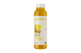 Ginger Lemonade with Probiotics