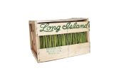 Local Long Island Asparagus