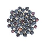 Organic Local Blueberries