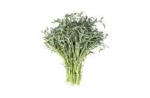 Organic Spigarello