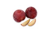 Crimson Rose Apriums