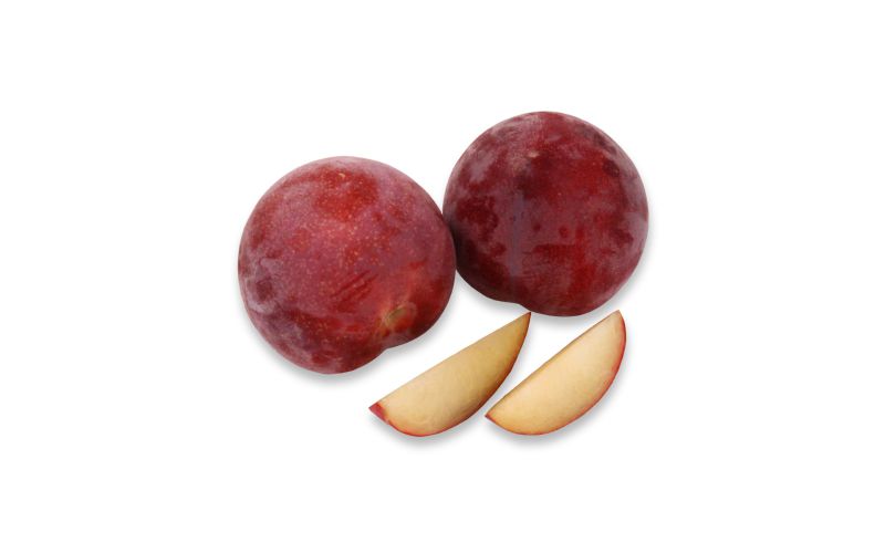 Crimson Rose Apriums