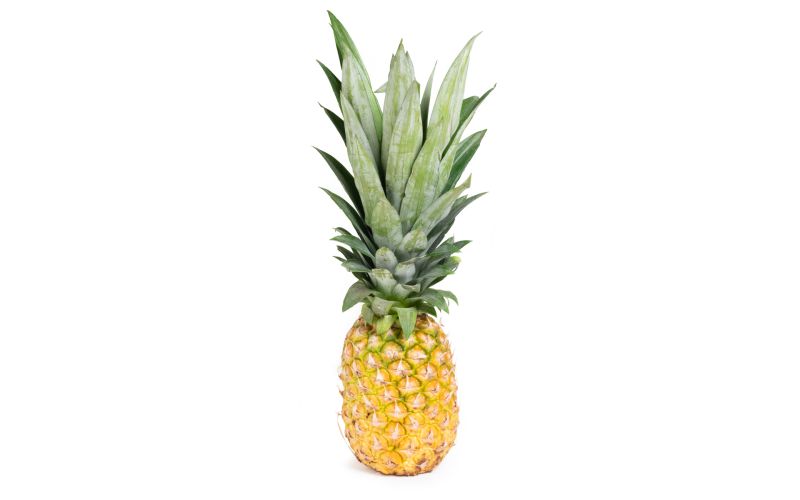 Perfect Gold Pineapple