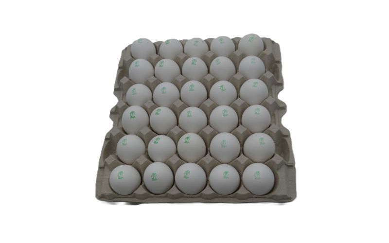 Pasteurized Cage Free Large Eggs