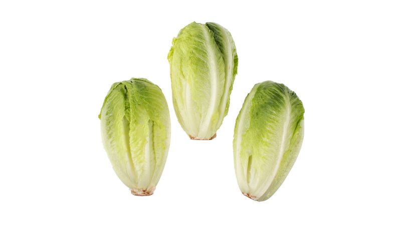 Organic Artisan Baby Romaine