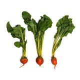 Organic Bunched Gold Beets