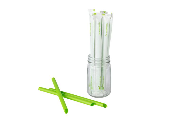 Green PLA Plastic / PBAT Plastic Boba Straw, Wrapped - 9in