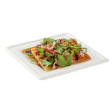 Square White Sugarcane Medium Plate