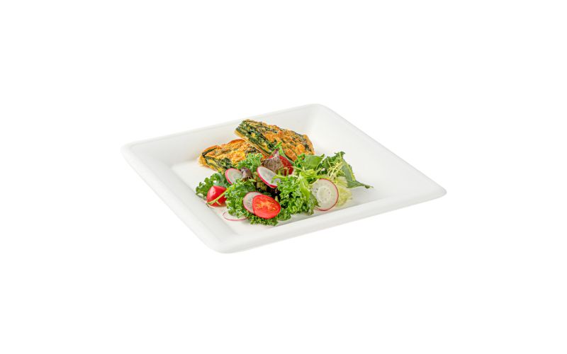 Square White Sugarcane Large Plate