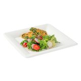 Square White Sugarcane Large Plate