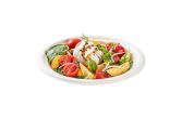 Round White Sugarcane Large Plate
