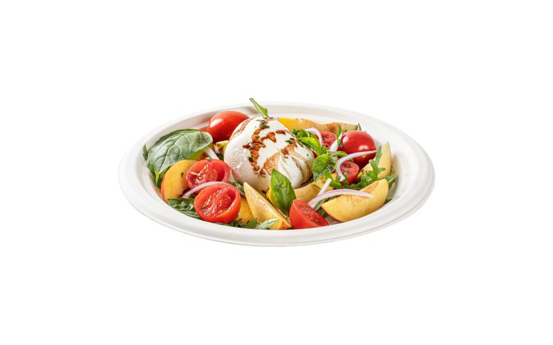Round White Sugarcane Large Plate