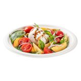 Round White Sugarcane Large Plate