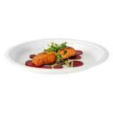 Round White Sugarcane Extra Large Plate