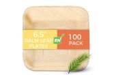 Square Natural Palm Leaf Plate