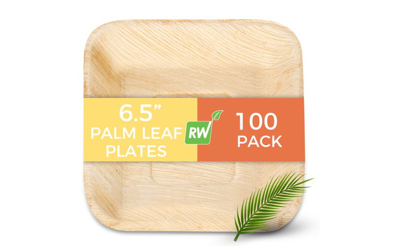 Square Natural Palm Leaf Plate