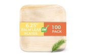 Square Natural Palm Leaf Plate