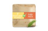 Square Natural Palm Leaf Plate