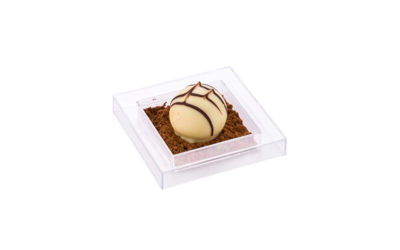 Square Clear Plastic Mini Cubic Plate - 2.5in x 2.5in