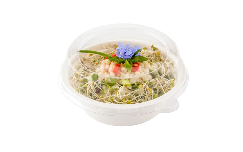 Round Clear Plastic Dome Lid - Fits 12 oz Salad Bowl