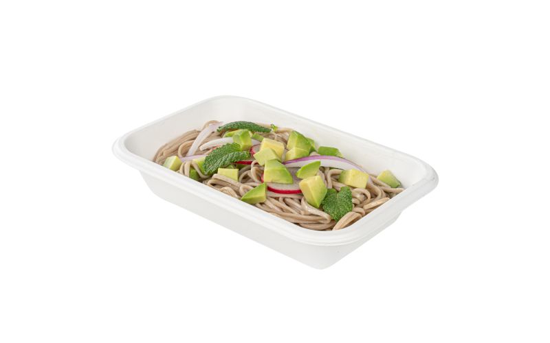 16 oz Rectangle White Sugarcane Container